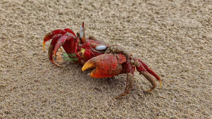 Porno eng yaxshi raqamlarni baholaydi